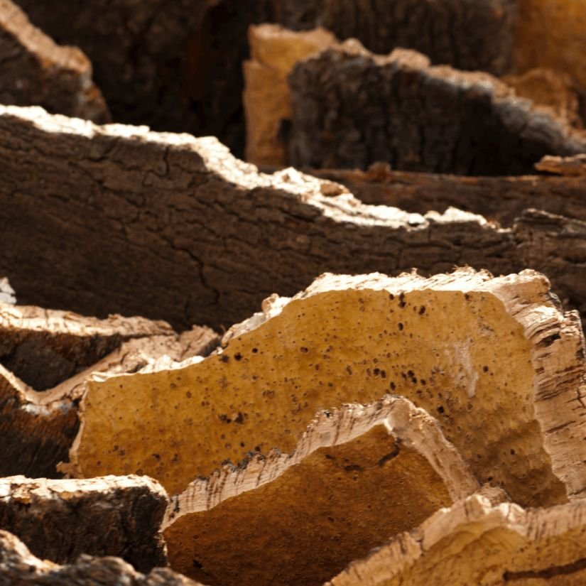 Sustainable Magnetic Cork Flooring